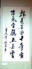 二等獎:(作者：楊軍國    所在單位：第一工程處    主題：揮毫)